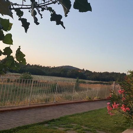 ピエーヴァ・スクオーラ Casa La Pinetaヴィラ エクステリア 写真